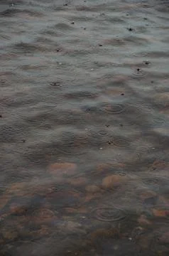 A close-up of raindrops creating ripples on shallow water Stock Photos