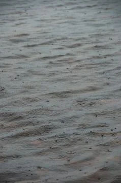 A close-up of raindrops creating ripples on water Stock Photos