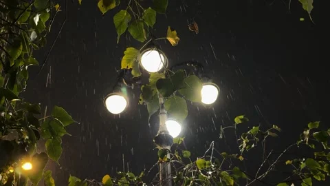 Close-up of raindrops falling from green leaves at night with bokeh street Video stock 332739694