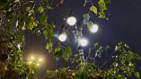 Close-up of raindrops falling from green leaves at night with bokeh street 库存影片 332739699