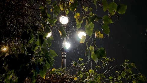 Close-up of raindrops falling from green leaves at night with bokeh street 库存影片 332739701
