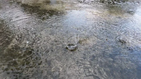 Close-Up Raindrops Falling from the Sky – Tropical Rain in Indonesia Stock-Footage 320892851