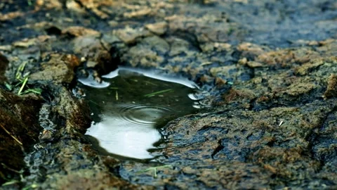 Close-up of raindrops falling on stones Stock Footage 259120558