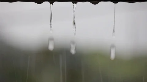 Close-up of raindrops falling on surface Stock Footage 93116697