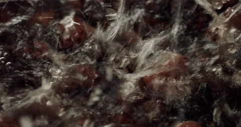 Close Up of Raindrops on the Ground Video stock 151134654