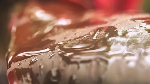 Close-Up Raindrops On The Leaves Stock Footage 231368456