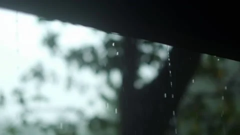 Close up of raindrops. Rainforest weather. Stock Footage 151178470