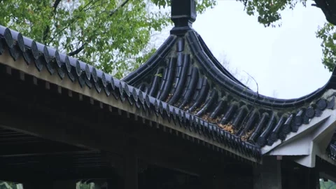 Close-up of raindrops sliding down the roof tiles of an ancient building. Video stock 335921181