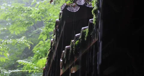 Close-up of raindrops sliding down the roof tiles of an ancient building. Stock-Footage 335921190