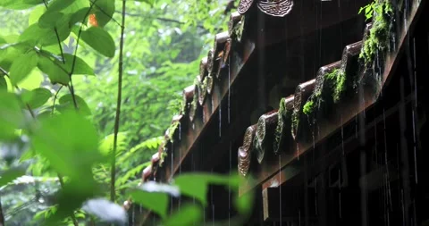 Close-up of raindrops sliding down the roof tiles of an ancient building. 動画素材 335921208