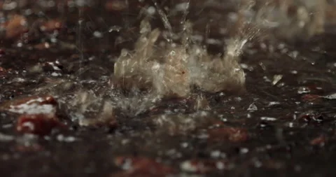 Close Up of Raindrops Splashing on the Ground Video stock 151124851