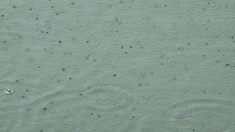 Close up of raindrops on the surface of the lake Stock Footage 307436337