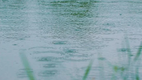 Close-up of raindrops on the water surface of the lake during the spring rai Видео 257858690