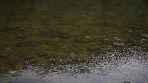 Close-up, raindrops in which mountain river Video stock 125324651