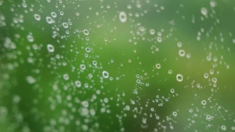 Close-up of raindrops on a window creating a beautiful blurred green background Stock Footage 313333244