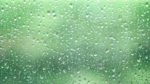 Close up of raindrops on the window on green background. Seamless loop. Stock Footage 240305201