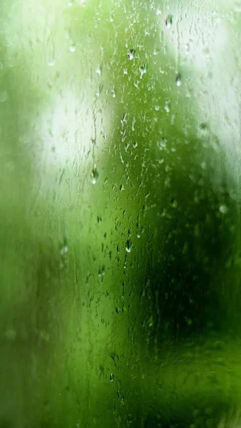 Close-up of raindrops on a window pane with lush green foliage blurred in the Stock Footage 339069401