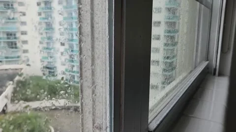 Close up raindrops on window with shallow depth of field abstract rainy texture Stock Footage 331347353