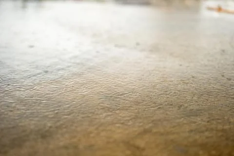 Close-up of Rainwater Drops Stock Photos