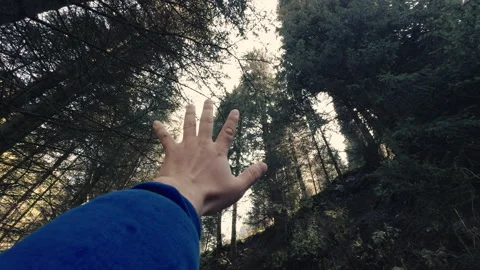 Close-up of raised hand in first person view with dense tree crowns and a sky as Video stock 287109081