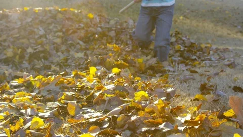 Close on a rake pulling leaves into a pile Stock Footage 93892180