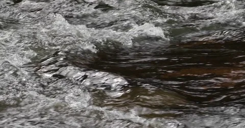 Close up of rapid river 4k 24fps Stock Footage 79327065