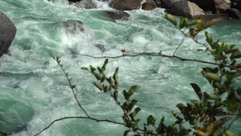 Close up of rapidly flowing river water, Lamjung, Nepal Stock-Footage 139689745
