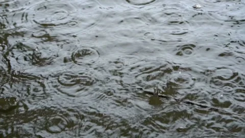 Close-up, rare, large raindrops fall into the dark water on a cloudy autumn day. Video stock 96027769