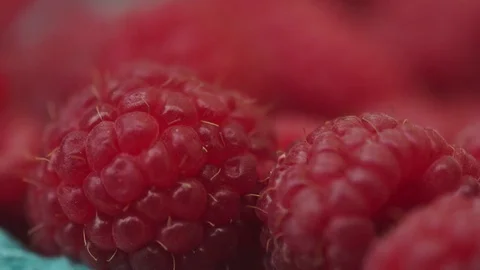 Close Up of Rasberries Stock Footage 77395436