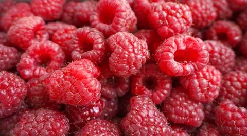Close up of raspberry. background of ripe red raspberries. Stock Photos