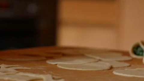 Close up on ravioli pasta discs Video stock 84197029