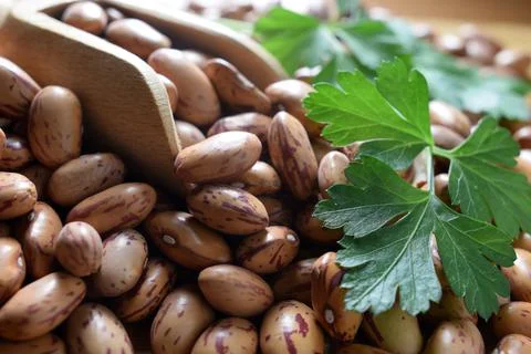 Close up on raw beans Stock Photos