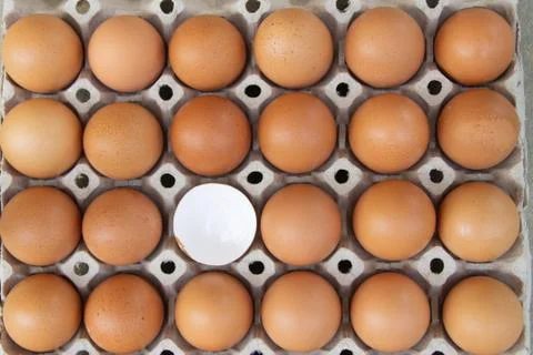 Close up of raw brown eggs in an egg carton, one egg  is broken Stock Photos
