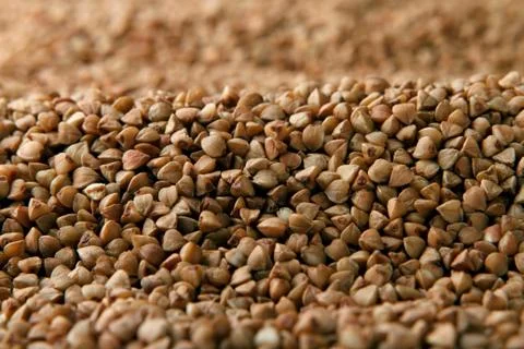 Close-up of raw buckwheat. Stock Photos