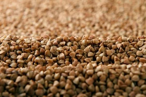 Close-up of raw buckwheat. Stock Photos