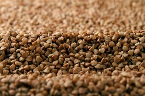 Close-up of raw buckwheat. Stock Photos