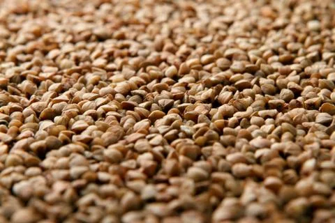 Close-up of raw buckwheat. Stock Photos