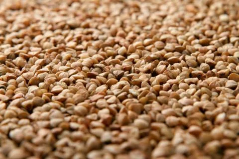 Close-up of raw buckwheat. Stock Photos
