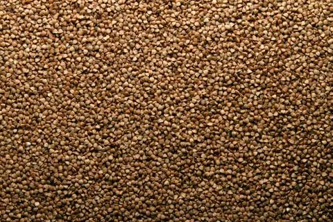 Close-up of raw buckwheat. Stock Photos