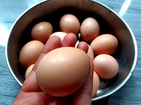 Close-up raw chicken egg group in a stainless steel bowl, and isolated. Stock Photos