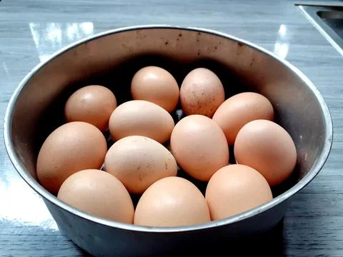 Close-up raw chicken egg group in a stainless steel bowl, and isolated. Stock-Fotos