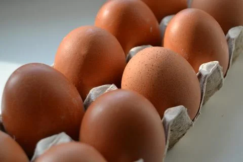 Close up of raw chicken eggs in egg box soft focus. Raw chicken eggs in egg b Stock-Fotos