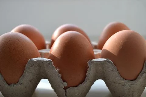 Close up of raw chicken eggs in egg box soft focus. Raw chicken eggs in egg b Stock Photos