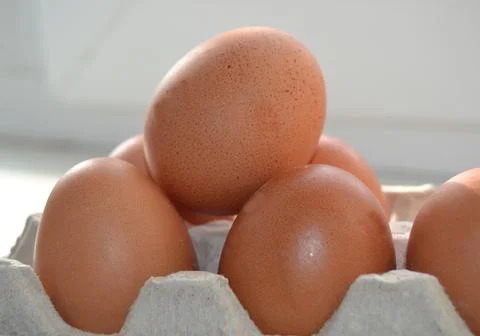 Close up of raw chicken eggs in egg box soft focus. Raw chicken eggs in egg b 写真素材