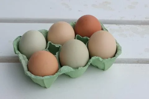 Close up of raw chicken eggs in egg box Stock Photos