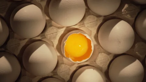 Close-up of raw chicken organic eggs in egg cardboard box. One egg cracked .. Stock Footage 340810821