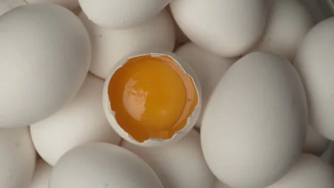Close-up of raw chicken organic eggs in egg cardboard box, top view. One eg.. Stock Footage 340812442