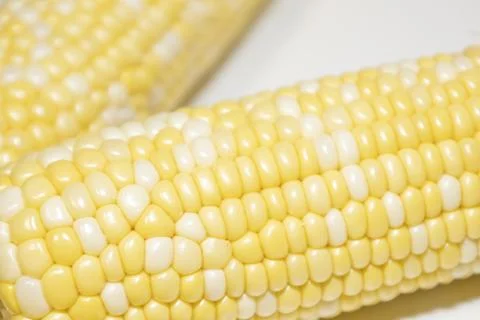 Close raw cobs of sweet corn against background. Tasty sweet corn on cob Stock Photos