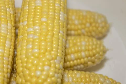 Close raw cobs of sweet corn against background. Tasty sweet corn on cob Stock Photos