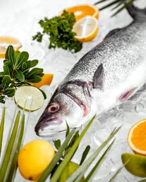 Close up of raw fish head on ice with fruit slices Stock Photos
